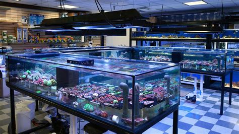 Exotic Freshwater Fish Store