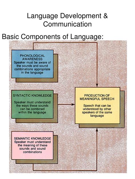 Ppt Language Development And Communication Basic Components Of Language