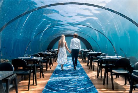 Restaurants Sous Marins Des Maldivesrestaurant Sous Leau Aux Maldives