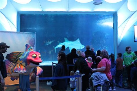 Newport Aquarium In Newport Ky Have Kids Will