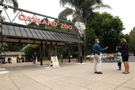 After More Than 120 Days Oakland Zoo Reopens To Visitors