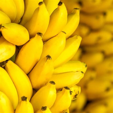 Genetically Engineered Super Banana To Face First Human Trial Ctv News