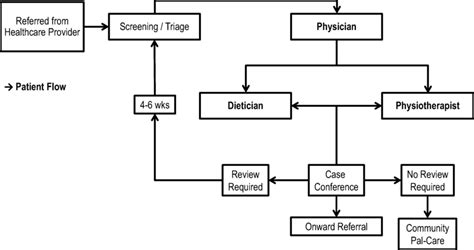 Patient Flow Through The Cnss Model Patients Referred To The Clinic