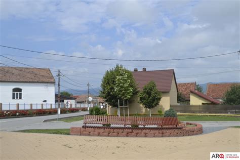 Colecție de la dumitrescu ioana. CIUGUD (ALBA) - Comuna despre care se spune că este cea ...