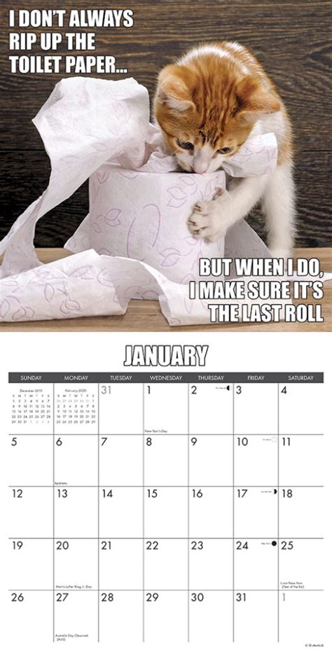 Size of each file is 8.5 x 11 inches (us letter size). Review: Amazing Funny 2020 Cat Calendars from Willow Creek ...