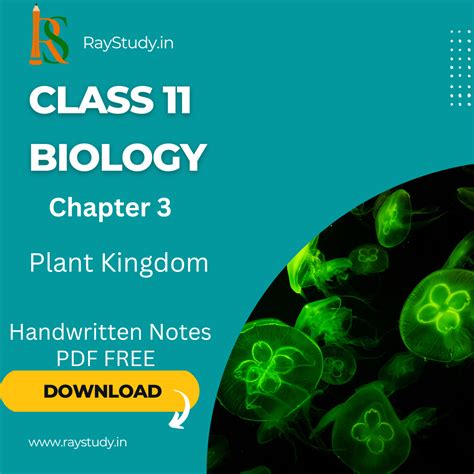 Class 11 Biology Chapter 3 Plant Kingdom Handwritten Notes Pdf Free