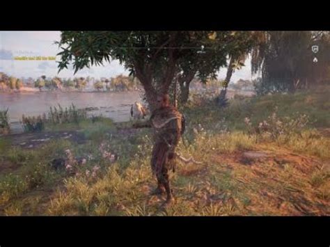 Assassin S Creed Origins How To Heka Trick Stolen Property Youtube