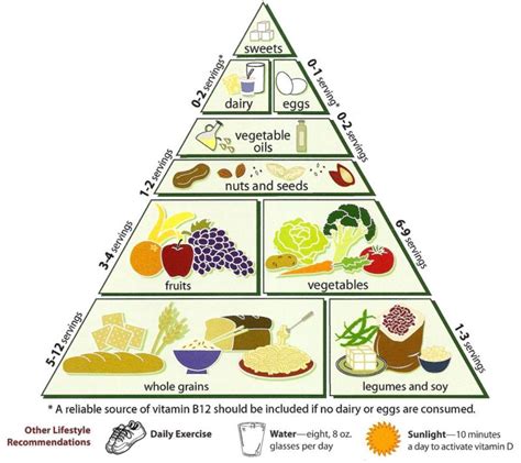 Kids Food Pyramid Energise Kids Energise Kids