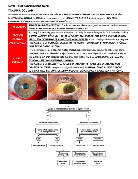 Trauma Ocular Trauma Ocular Incidencia De Trauma Ocular En RelaciÓn 4