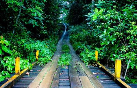 Soberanía National Park In Panama City 9 Reviews And 134 Photos