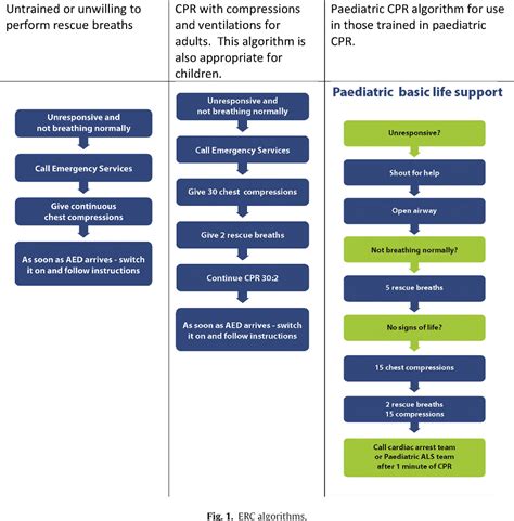 Figure 2 From European Resuscitation Council Guidelines For