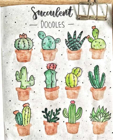 How To Draw Succulents With Easy Step By Step Tutorials