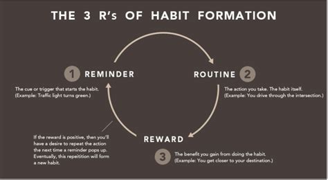 The Science Of How Your Habits Work The 3 Rs Of Habit Change