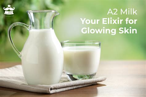 A2 Milk Your Elixir For Glowing Skin Benefits Of A2 Milk For Skin Glow