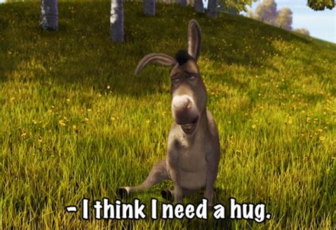 I Love Donkey I Need A Hug Hug Christian Artists