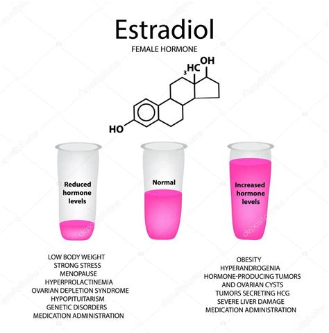 Fórmula Molecular Química De La Hormona Estradiol Hormona Sexual Femenina Disminución Y