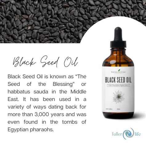 Seeds Of Blessing Black Seed Oil Fuller Life Wellness