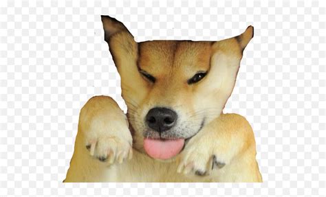 Doge Meme Png Shiba Inu Squished Face Emojidoge Emoji Free