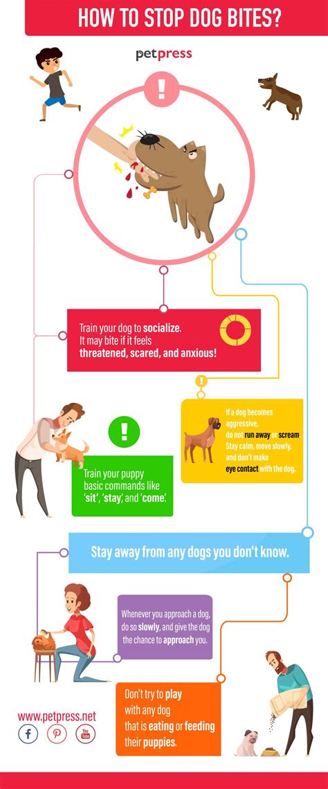 How To Stop Your Dog From Biting Prevention From Dog Bites
