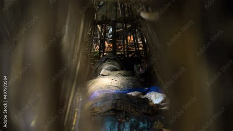 mummy lying on the ground in a forest covered in moss in an old abandoned cemetery stock ビデオ