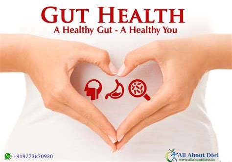 gut health all about diet l best dietitian in bandra l weight loss diet plan