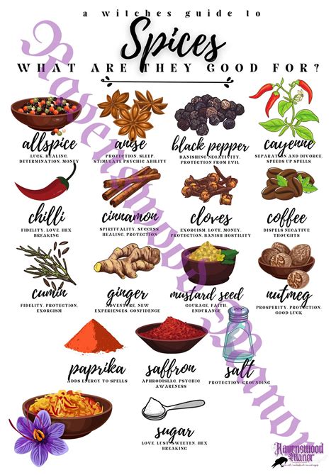 Herbs And Spices Magickal Uses Digital Download Witch Witchcraft Pagan