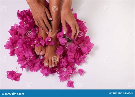 Female Feet And Hands With Pink Flowers Beauty Concept Stock Image