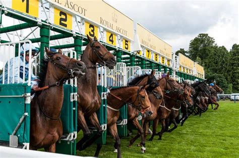 6 Of The Top Horse Racing Tracks In The World