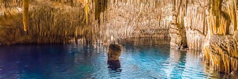Cuevas Del Drach Horario Precio Y Ubicación En Mallorca