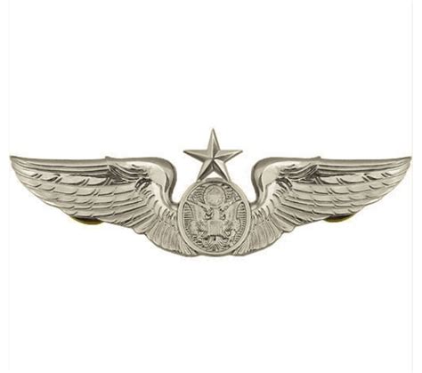 Vanguard Air Force Badge Aircrew Senior Regulation Size Heroes