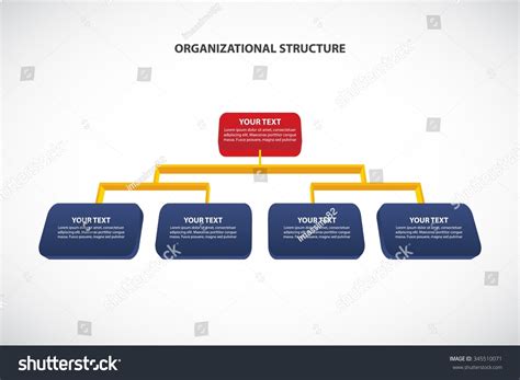 Organizational Structure Corporate Hierarchy Vector Infographic Stock