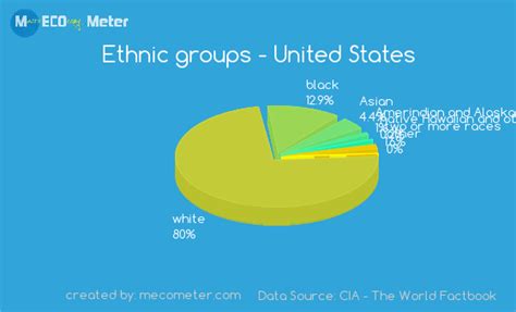 Ethnic Groups United States