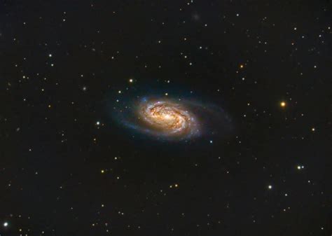 Ngc 2903 Barred Spiral Galaxy In Leo Johnadastra Astrobin