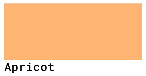 Apricot Color Codes The Hex Rgb And Cmyk Values That