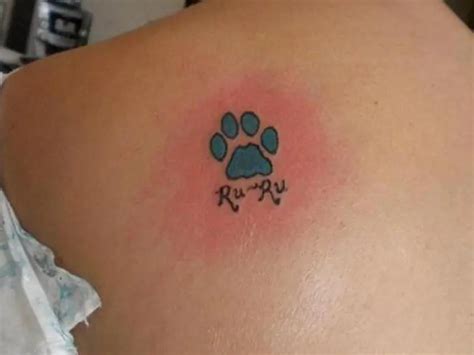 Aggregate More Than Paw Print Tattoo On Chest In Eteachers