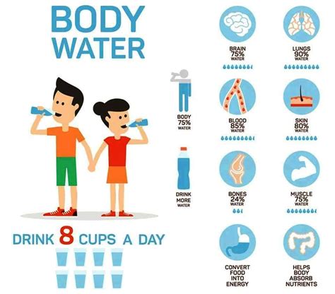 How Much Water To Rehydrate Your Body Mchwo