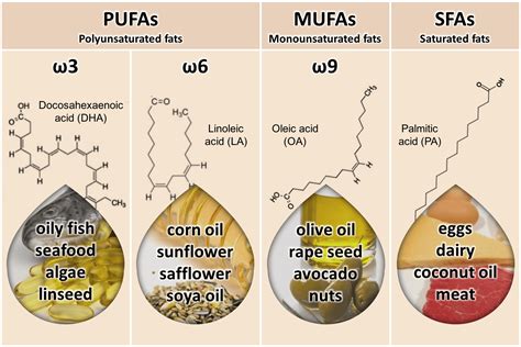 Know Your Fats Infographic Rosemary Cottage Clinic Blog