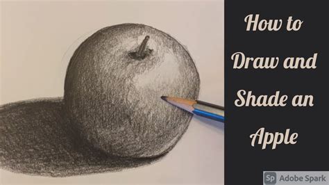 How To Draw And Shade An Apple Youtube