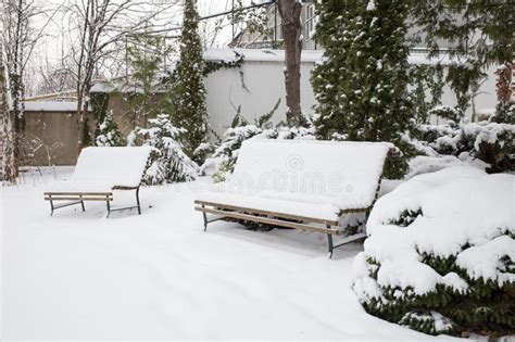 Snow Covered Yard Stock Photo Image Of Nature Snow 139529642