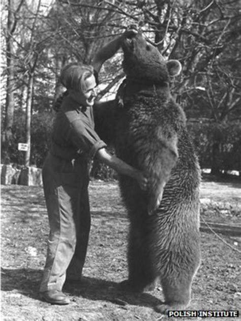 Story Of Polands Soldier Bear Wojtek Turned Into Film Bbc News