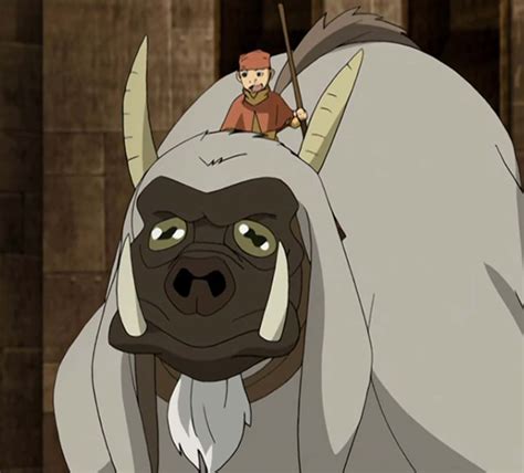 Ranking Every Appa Yip Yip From Avatar The Last Airbender