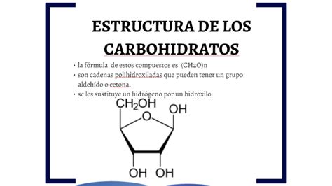 Estructura De Los Carbohidratos Curso Para La Unam
