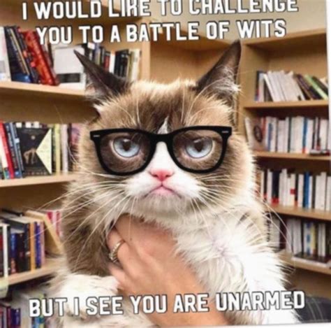 11 Memes Funny School Grumpy Cat Grumpy Cat Meme Grumpy Cat Funny