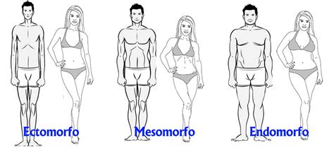 Ectomorfo Mesomorfo O Endomorfo Qué Cuerpo Tienes Y Cómo Sacarle