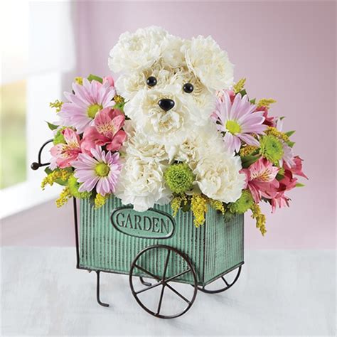 Choosing the right funeral flower arrangement can be a little difficult. 1-800-Flowers® Pup N' Posies™ | San Antonio, TX
