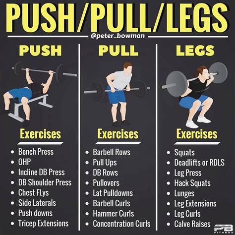 Push Pull Legs Split Day Weight Training Workout Schedule And Plan Gymguider Com