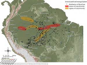 At Least 8m Humans May Have Lived And Farmed The Amazon Basin Daily