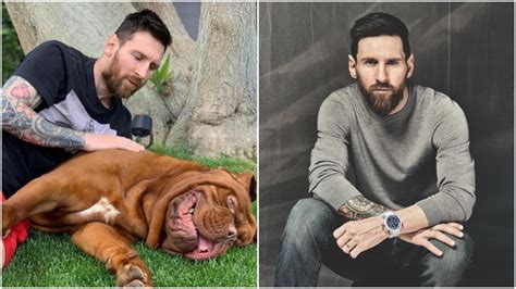 A video posted by lionel messi's wife, of the footballer playing football with his dog, has gone viral. Lionel Messi shares photo of him cuddling with his dog Hulk