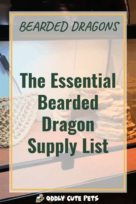 The Essential Bearded Dragon Supply List In 2021 Bearded Dragon