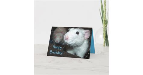 Rat Birthday Card Zazzle